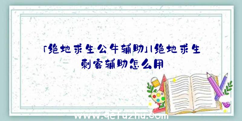 「绝地求生公牛辅助」|绝地求生刺客辅助怎么用